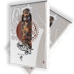 بەرگی کتێبی کاوەی دووەم، نووسینی سەرکاو
